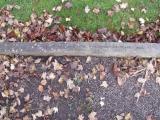 image of grave number 231763